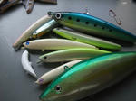 DSCF9046.JPG