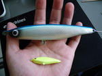 DSCF9031.JPG