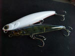 DSCF9244.JPG