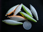DSCF9249.JPG