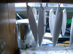 DSCF9253.JPG