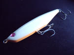 DSCF9263.JPG