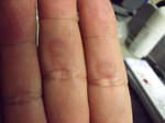 DSCF9285.JPG