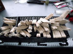 DSCF9287.JPG