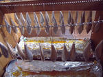 DSCF9309.JPG