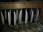 DSCF9363.JPG