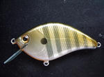 DSCF9493.JPG