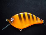 DSCF9494.JPG