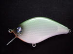DSCF9495.JPG