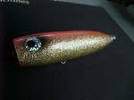 DSCF9505.JPG