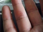 DSCF9519.JPG