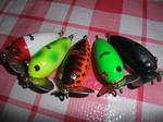 DSCF9544.JPG