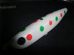 DSCF9562.JPG