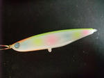 DSCF9579.JPG