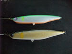 DSCF9644.JPG