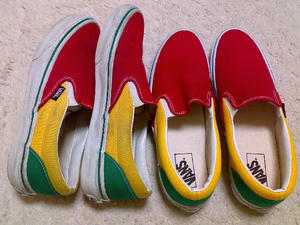 rasta12