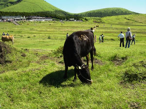 阿蘇・草千里