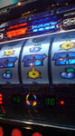20070702194325.jpg