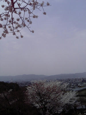 清水寺3
