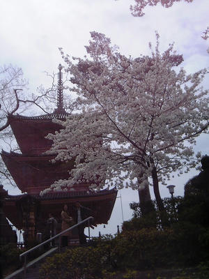 清水寺4