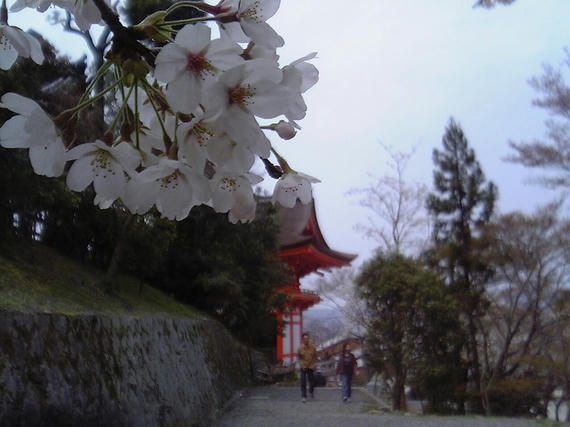 清水寺5