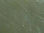DSC01025.JPG