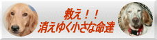 広島ドックパーク救済