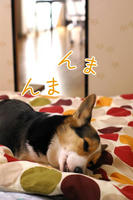 たまら～んｖ悦入り