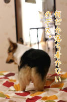 重い腰を上げて