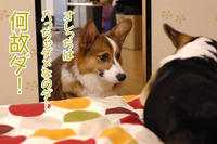 銀河万丈ボイスで。