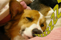 zzzzzzzzzz