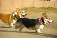 RUN RUN　デートｖ