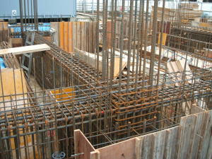 2007-7-22.jpg