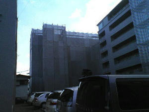 2008-1-2.jpg