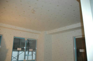 2008-2-12d.jpg