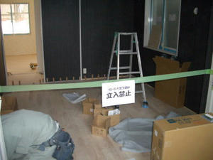 2008-2-19c.jpg