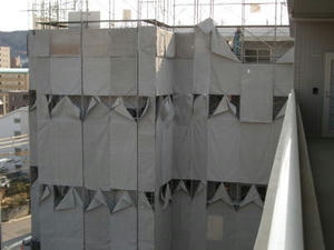 2008-2-19d.jpg