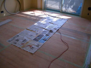 2008-2-19f.jpg