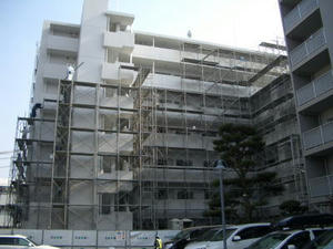 2008-2-20d.jpg