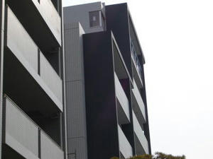 2008-2-22.jpg