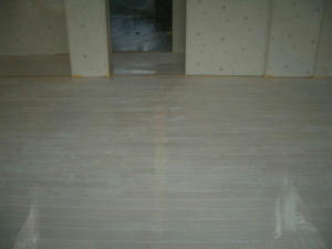 2008-2-22d.jpg