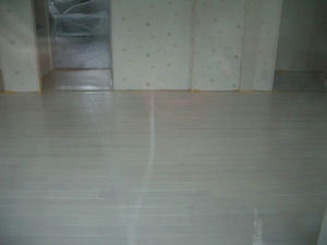 2008-2-23e.jpg