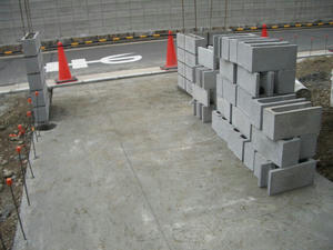 2008-2-29d.jpg