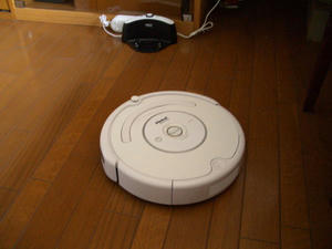 2008-3-1e.jpg