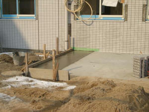 2008-3-6c.jpg