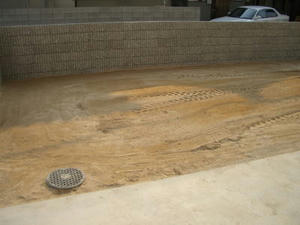 2008-3-6e.jpg