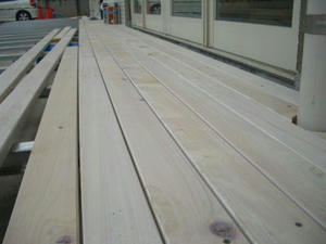 2008-3-14.jpg