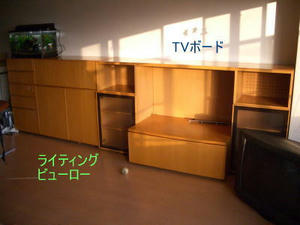 2008-3-22b.jpg