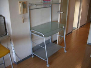 2008-3-22d.jpg