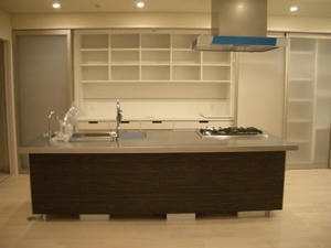 2008-3-25e.jpg